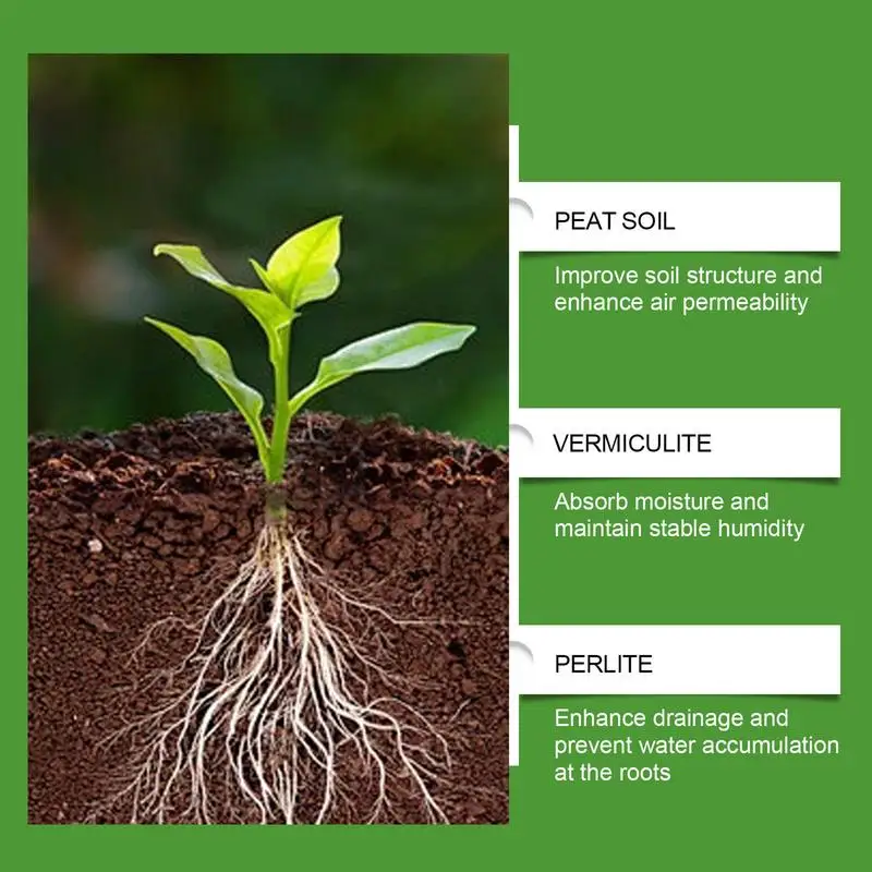 Succulent Soil Potting Mix Aer - Us Bonsai Garden review and price
