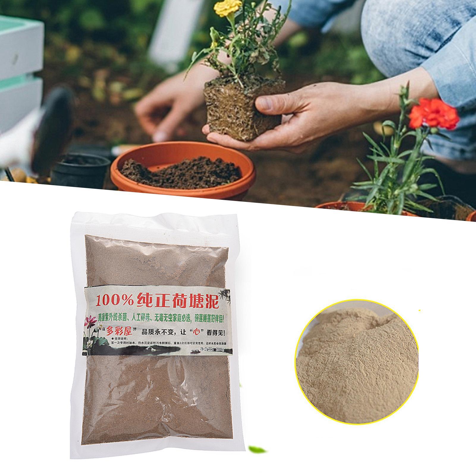 Natural Lotus Pond Mud Garden  - Bonsai Garden With Pond review and price