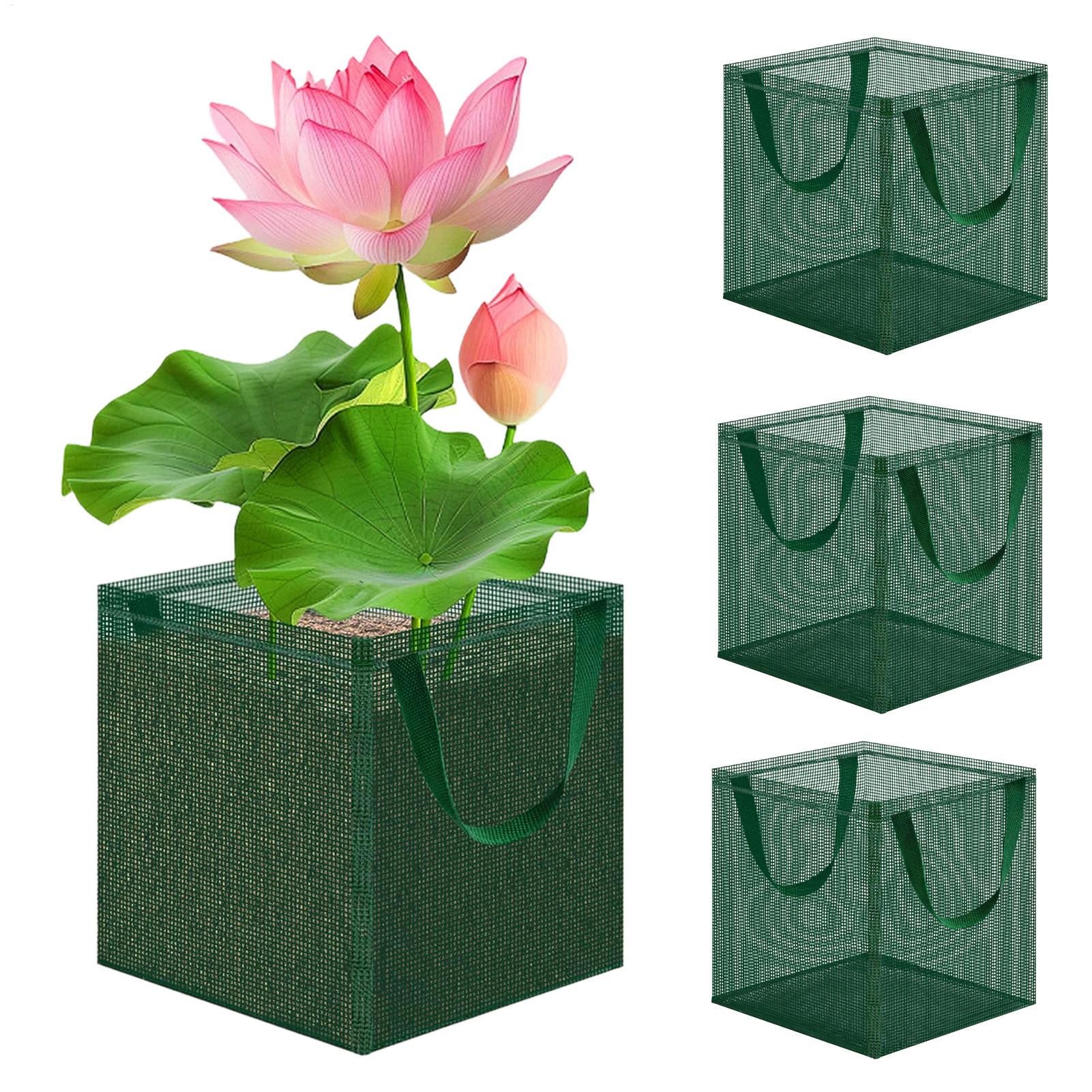 Pond Baskets for Bonsai 4 Piec - Bonsai Garden With Pond review and price