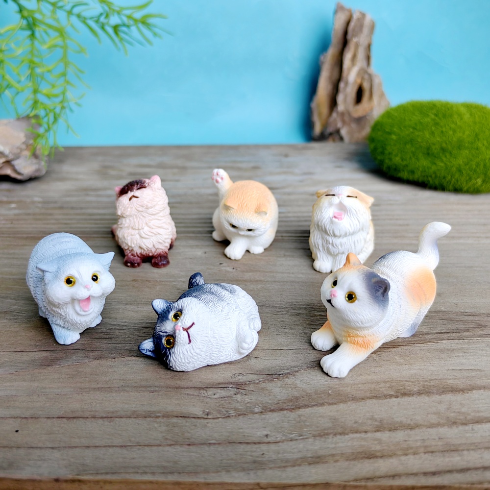 6pc Cute Cat Dog Set Animal Gi - Bonsai Garden Gift review and price