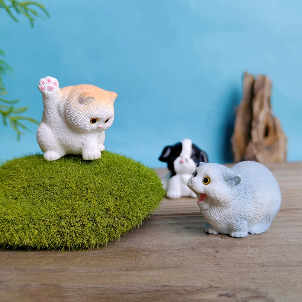 6pc Cute Cat Dog Set Animal Gi - Bonsai Garden Gift review and price