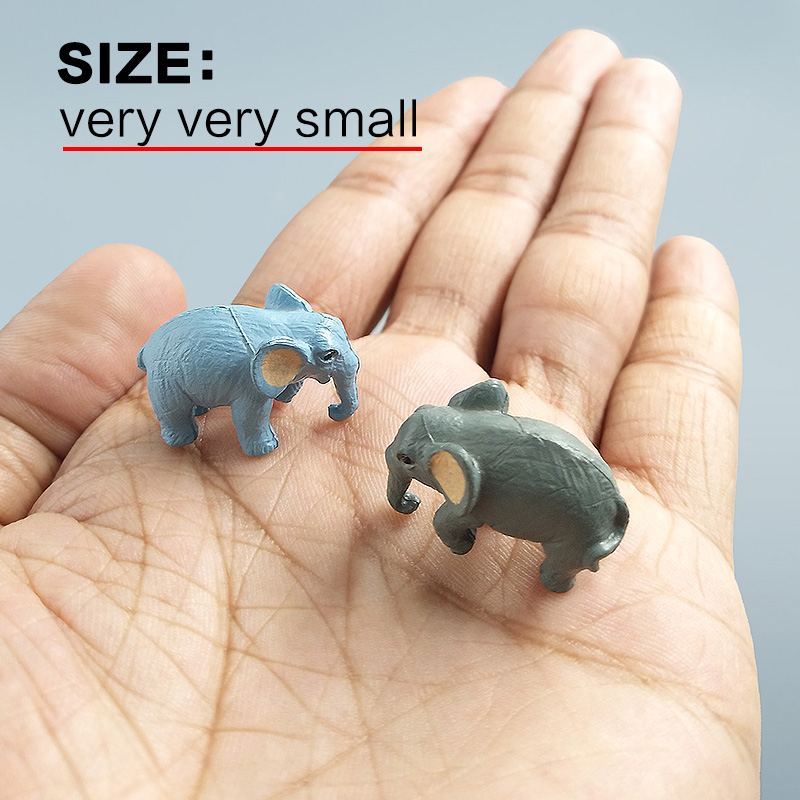 10Pcs Small Elephant Bonsai Fi - Bonsai Garden Japan review and price