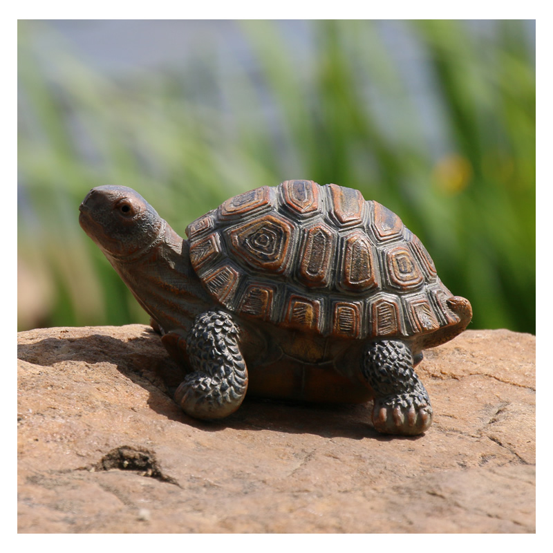 Cute Resin Tortoise Statue Out - Bonsai Garden With Pond review and price