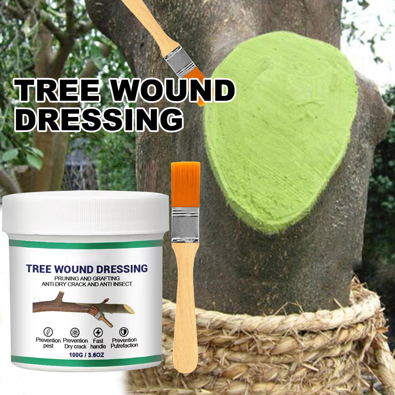 100g Tree Wound Pruning Sealer - Us Bonsai Garden review and price
