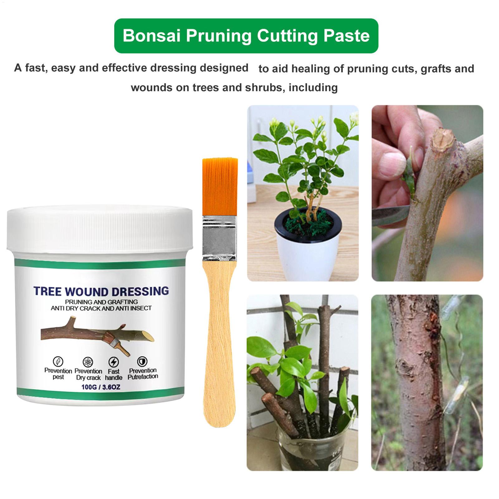 100g Tree Wound Pruning Sealer - Us Bonsai Garden review and price