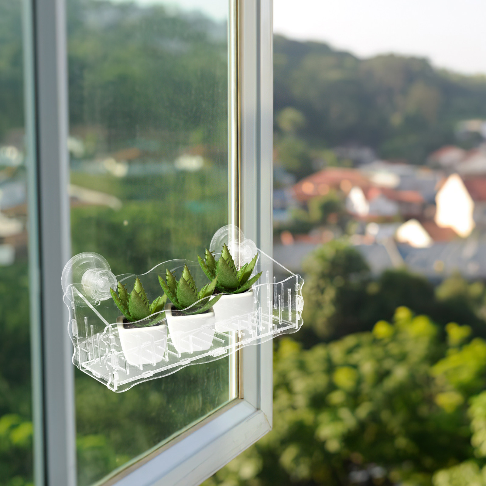 Suction Cup Planter Acrylic Tr - Us Bonsai Garden review and price