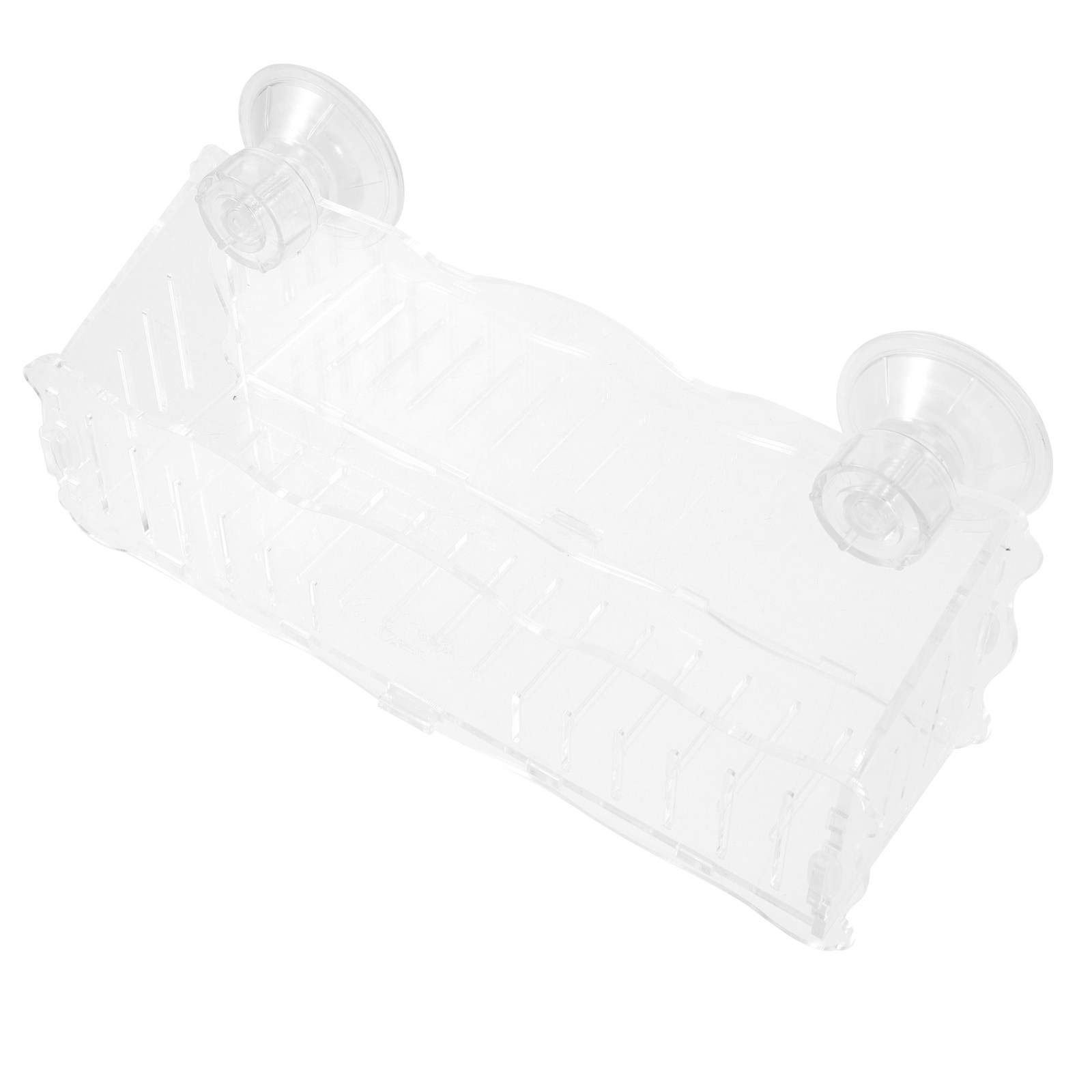 Suction Cup Planter Acrylic Tr - Us Bonsai Garden review and price