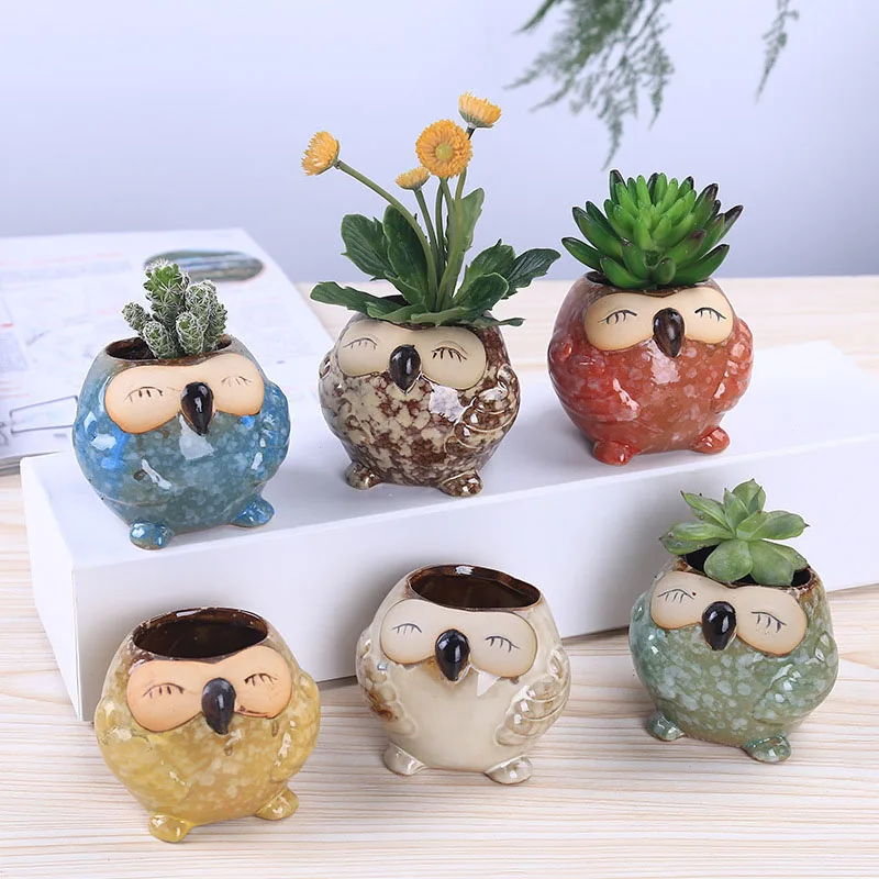 Mini Ceramic Owl Succulent Pla - Bonsai Garden Gift review and price