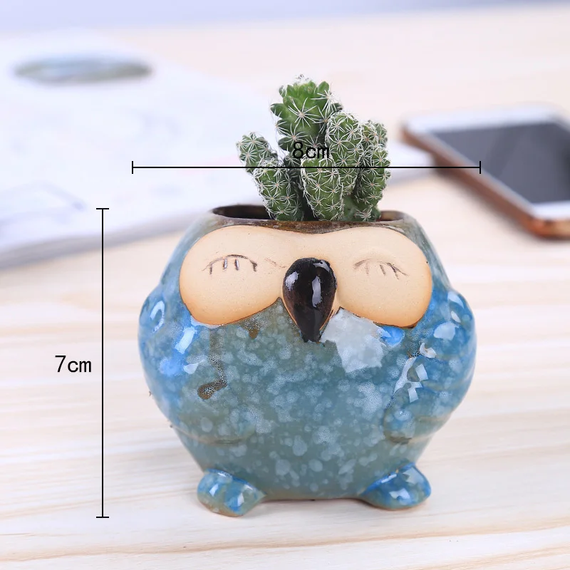 Mini Ceramic Owl Succulent Pla - Bonsai Garden Gift review and price