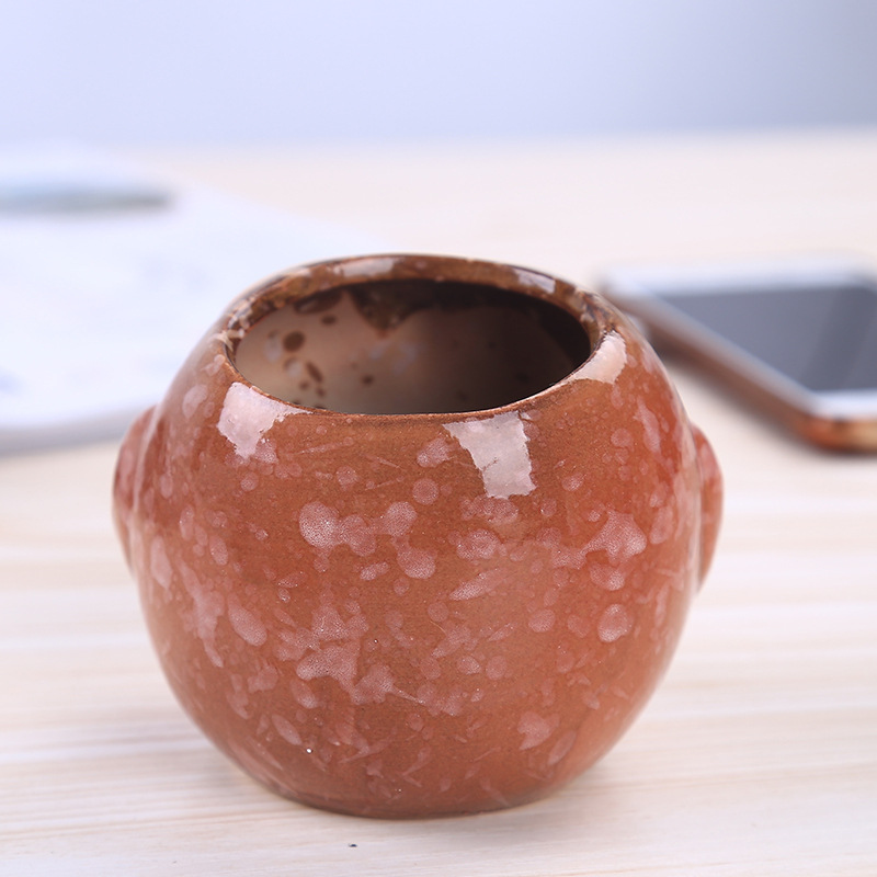 Mini Ceramic Owl Succulent Pla - Bonsai Garden Gift review and price