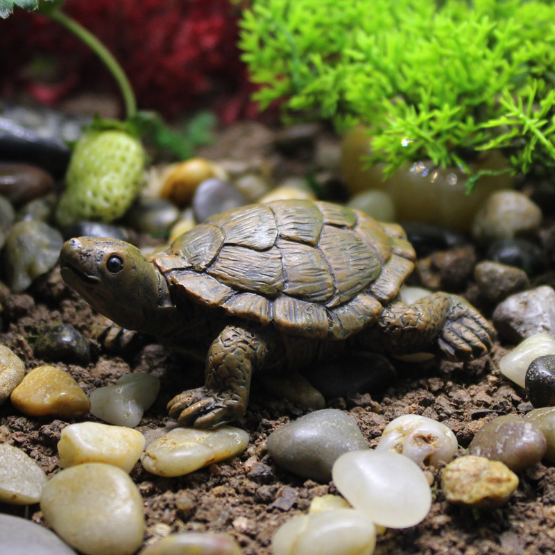 Little Turtle Model Resin Stat - Bonsai Garden With Pond review and price